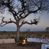 Bush Dinner 1 PKP