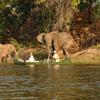 elephant encounter, canoe safari, zimbabwe safaris