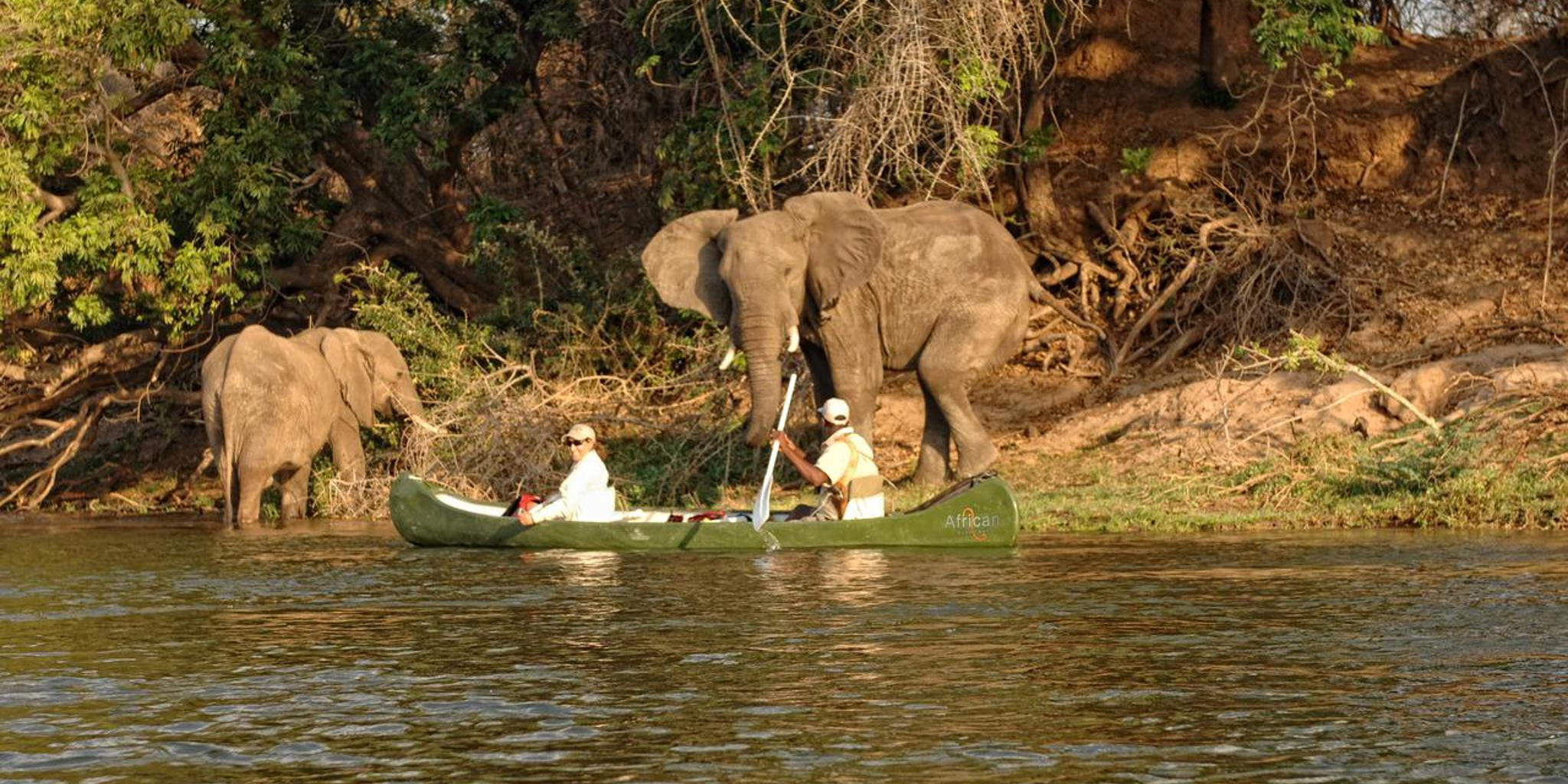 mana pools canoe safari