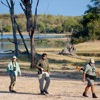 walking safari, lake kariba and matusadona national park, zimbabwe