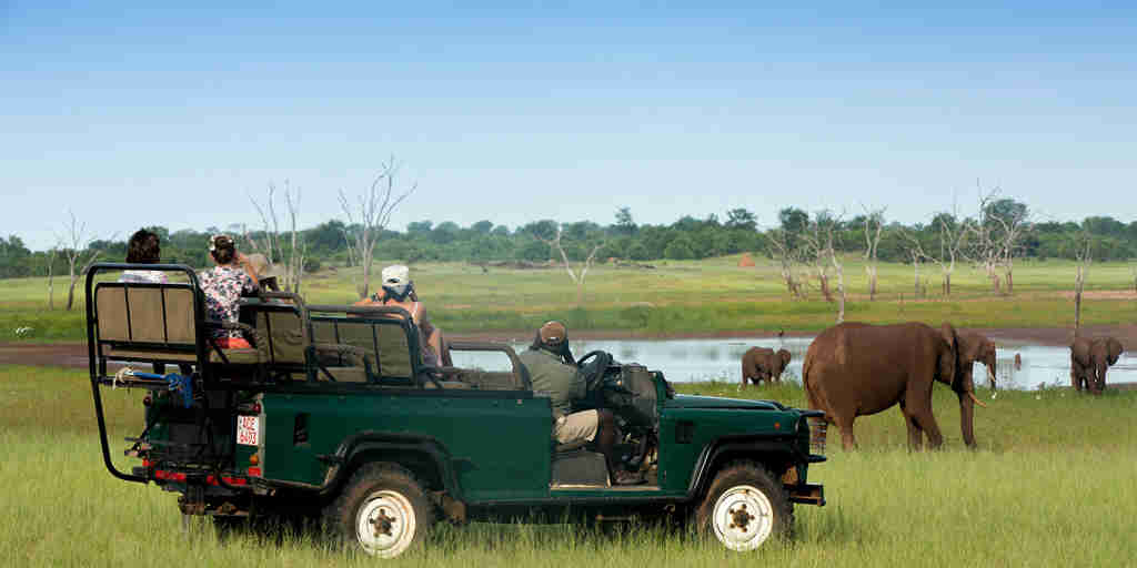 game drive, lake kariba and matusadona national park, zimbabwe