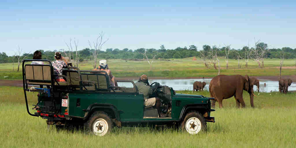 game drive, lake kariba and matusadona national park, zimbabwe