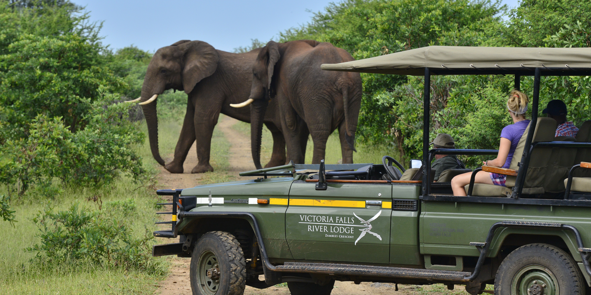 Victoria Falls River Lodge 9