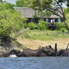 Victoria Falls River Lodge 10
