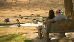 bench botswana okavango delta view yellow zebra safaris