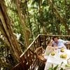 Tree House
