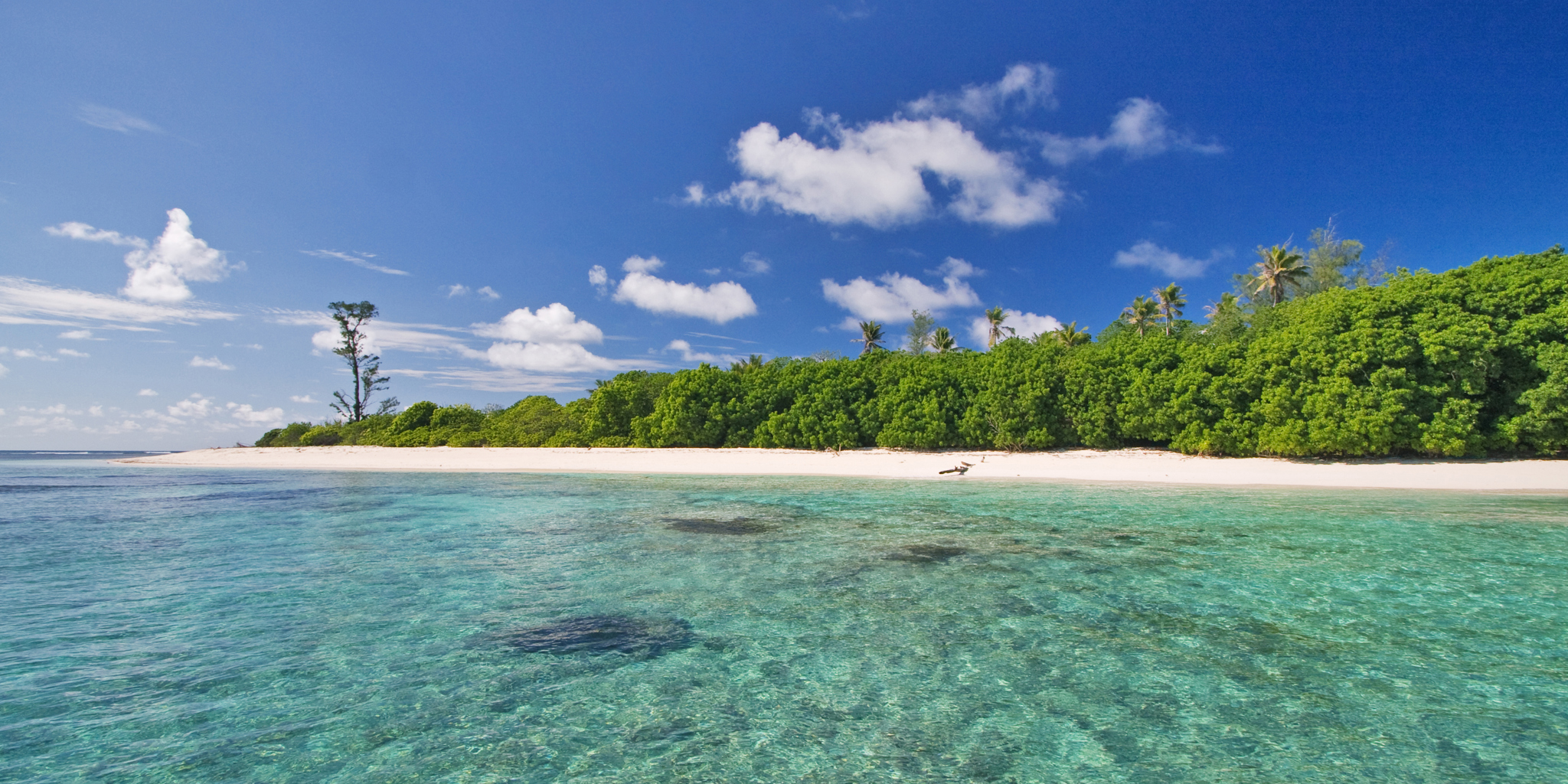 Hirondelle Beach   Bird Island