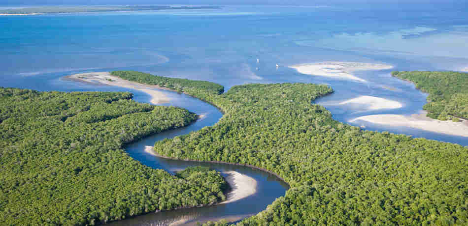 Mangrove canals Ibo Island Lodge