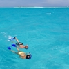 Snorkelling