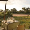Ngala Tented Camp South Africa Yellow Zebra Safaris