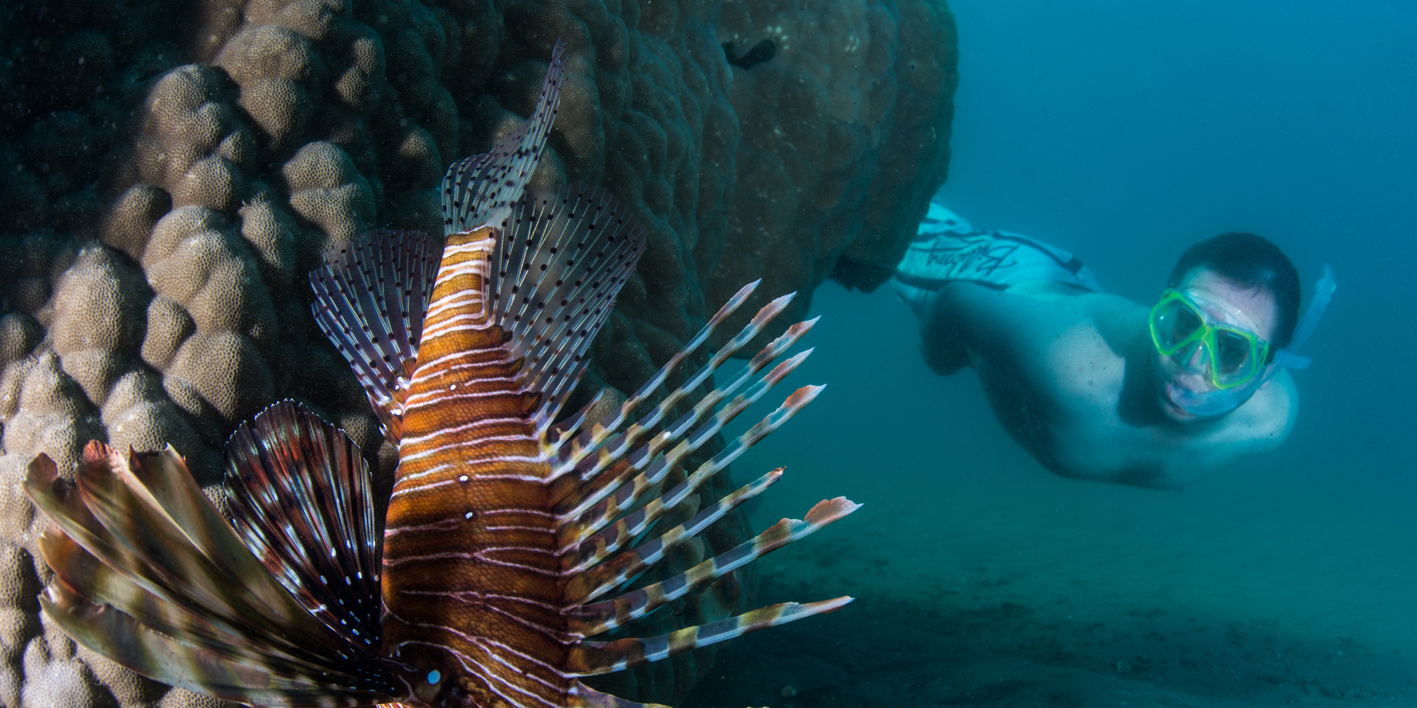 Lionfish Snorkeler