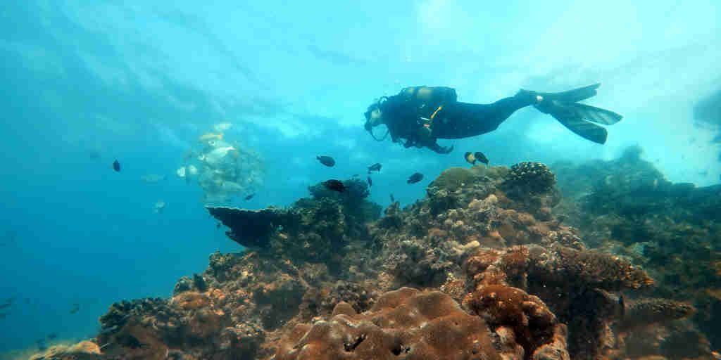 Benguerra Island Scuba Diving