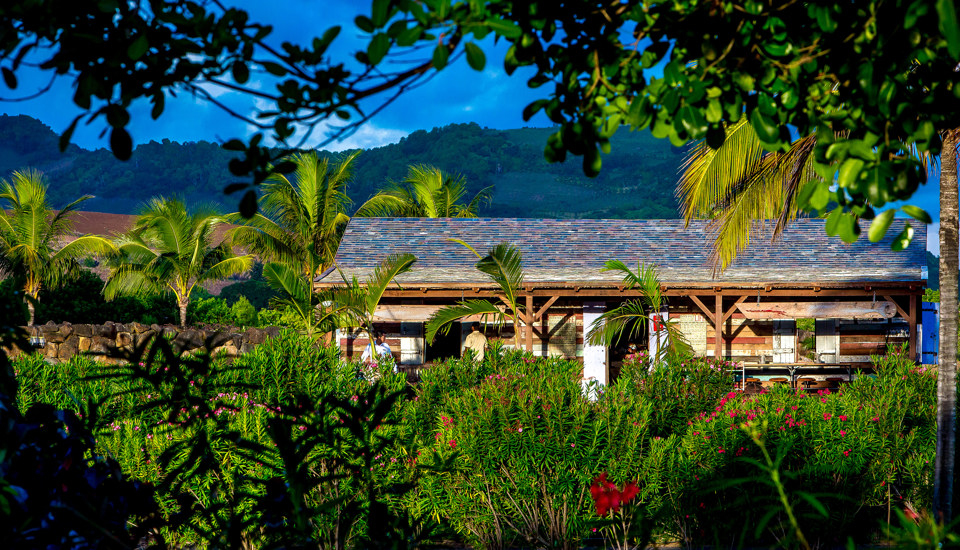 Shanti Maurice Rum Shed 03 5D3A9722 Edit