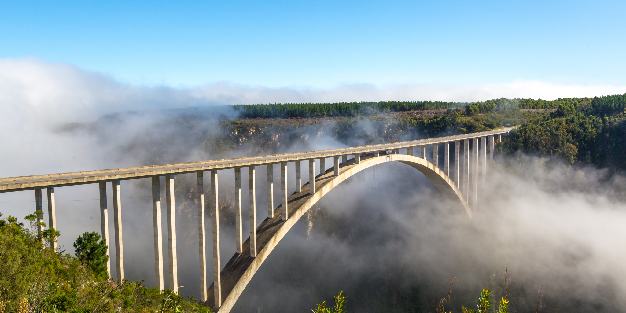 mountain bridge in south africa, african safaris