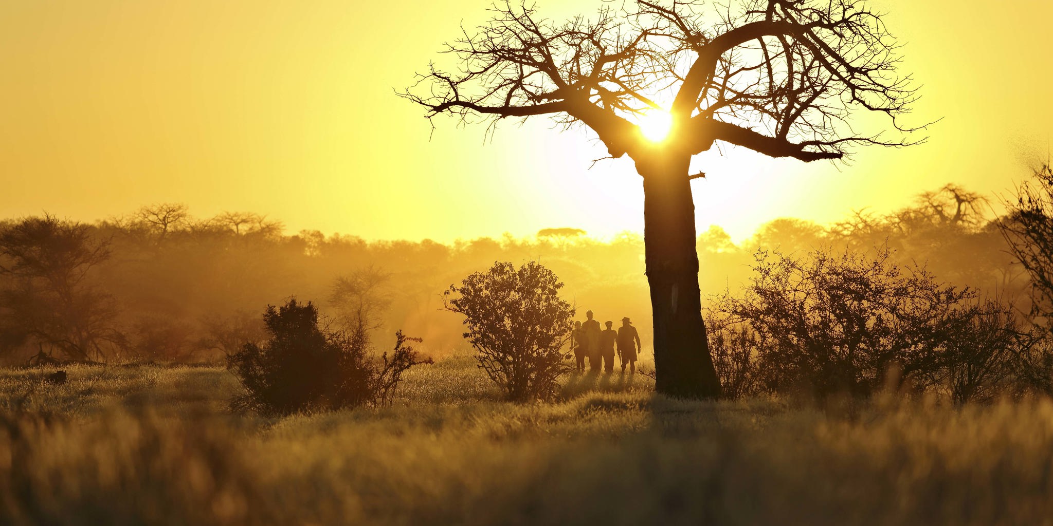 tanzania safaris luxury bespoke
