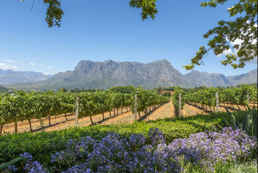 Stellenbosch Mountains, The Winelands, Cape Town, South Africa