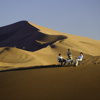 Namibia Safaris | Luxury Africa Holidays | Yellow Zebra Safaris