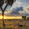 sundowners in the bush3