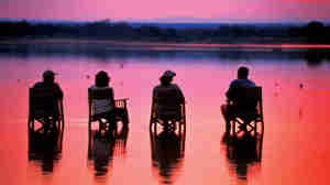 pink sunset, sundowners in zambia, africa safaris