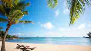 beach sun loungers, mauritius, africa safari destination