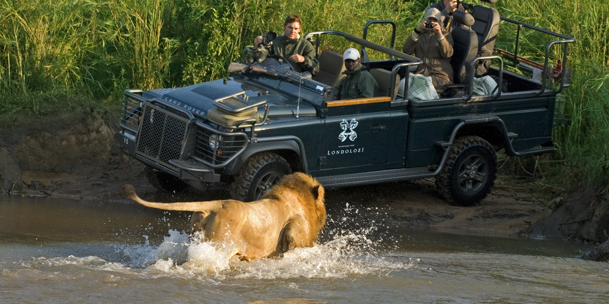 Best safari in South Africa