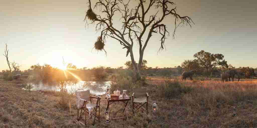 bush breakfast, timbavati private game reserve, south africa