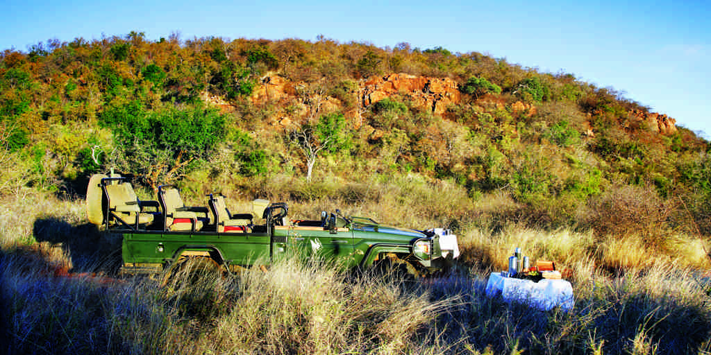bush tea, madikwe game reserve, south africa