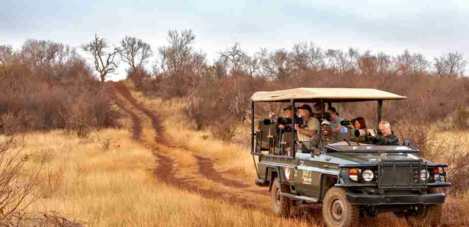 safari game drive, madikwe game reserve, south africa