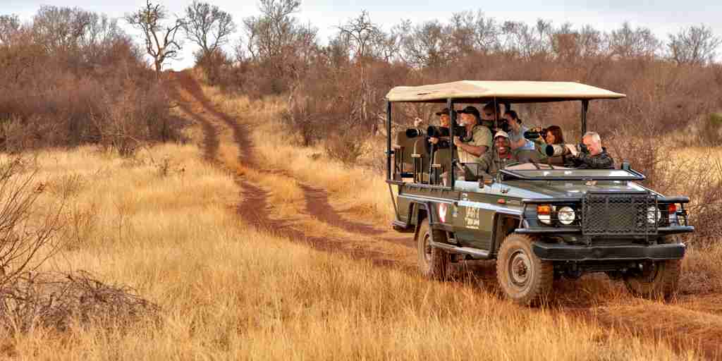 safari game drive, madikwe game reserve, south africa