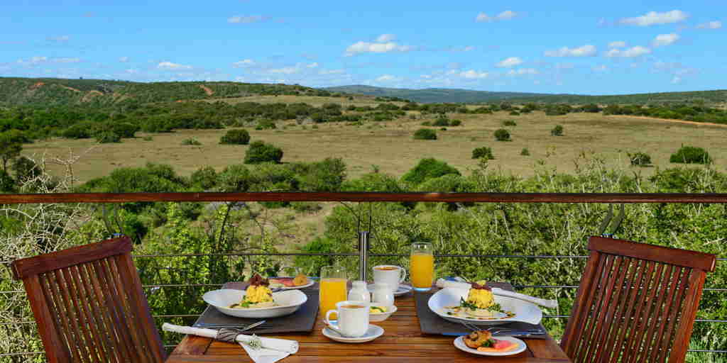 exterior breakfast, shamwari private game reserve, south africa