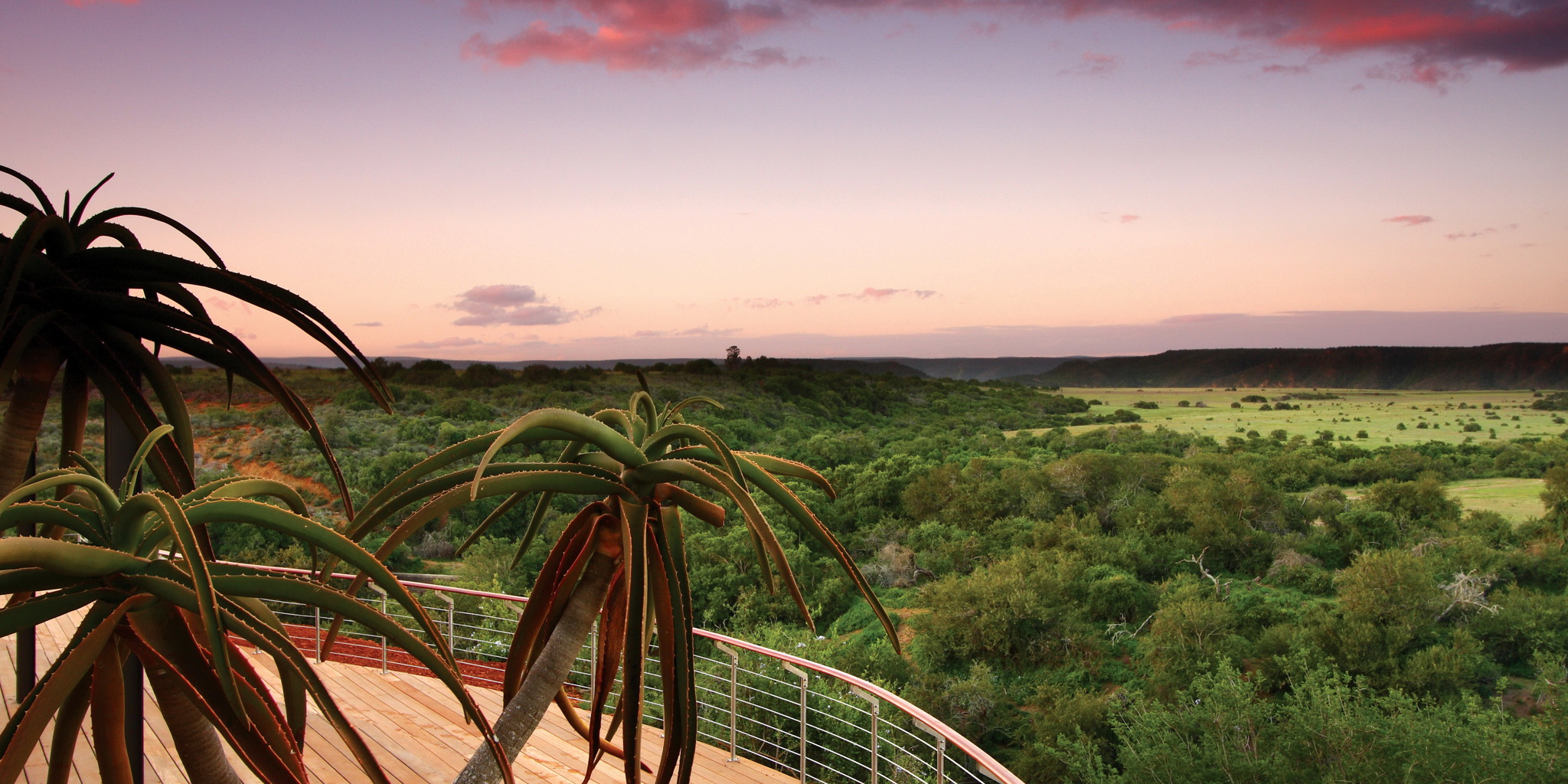 sunset, shamwari game reserve, south africa safaris