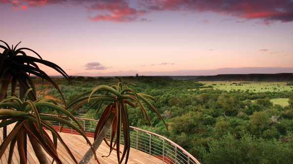 sunset, shamwari game reserve, south africa safaris