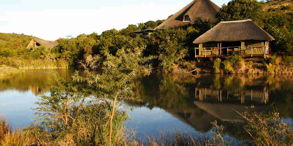 water lodge, shamwari private game reserve, south africa