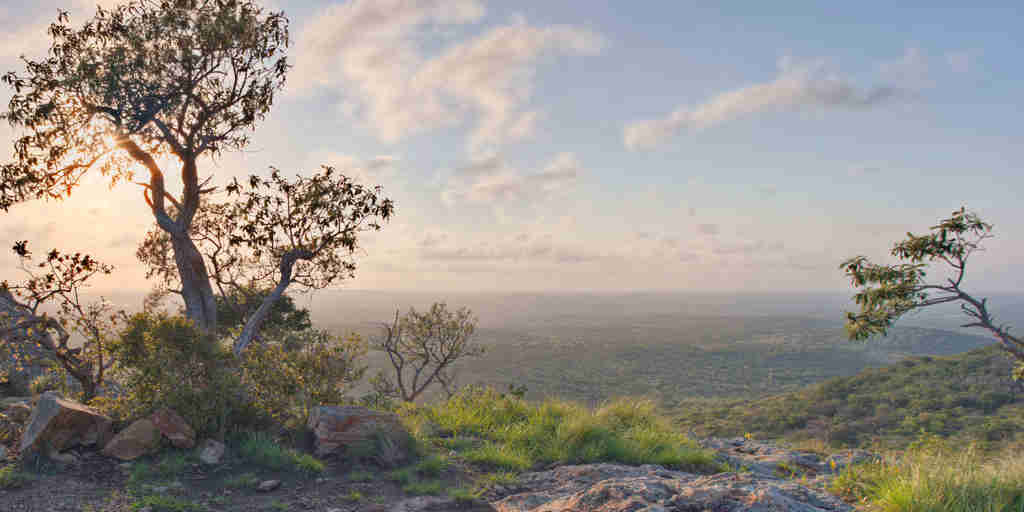 phinda game reserve viewing point, south africa safaris