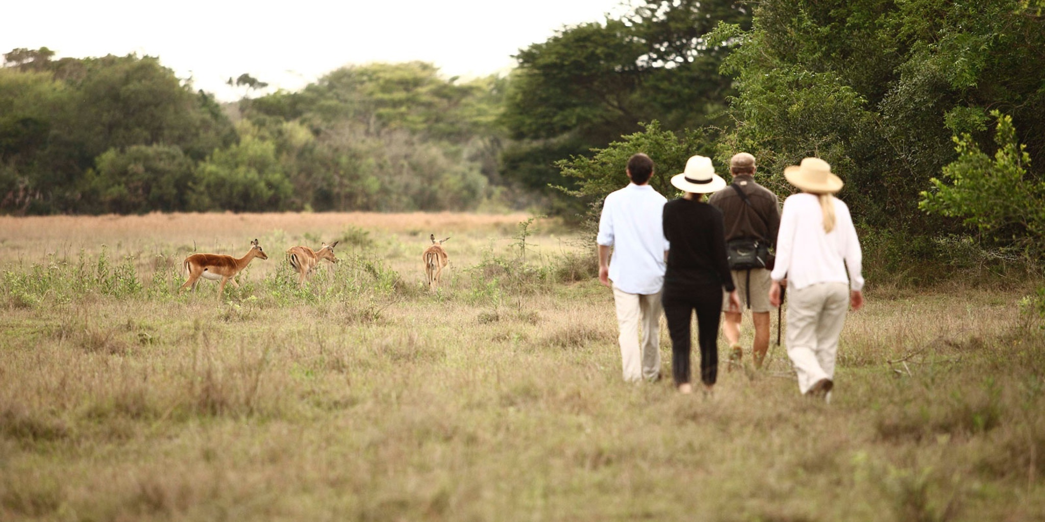 walking safaris, phinda game reserve, south africa