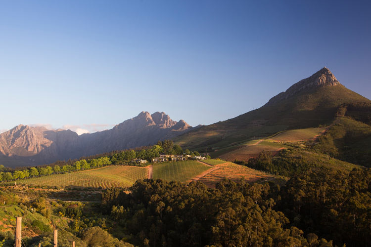 vineyard view, winelands, south africa safari holidays