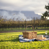 picnic in the winelands, south africa safari holidays