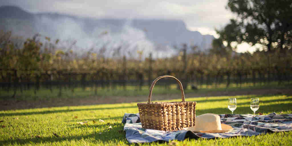 picnic in the winelands, south africa safari holidays