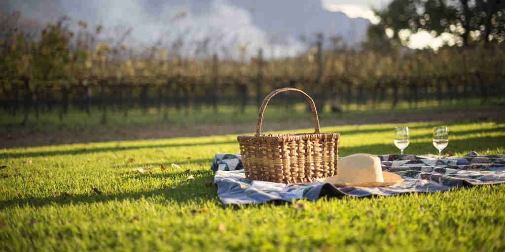 picnic in the winelands, south africa safari vacations
