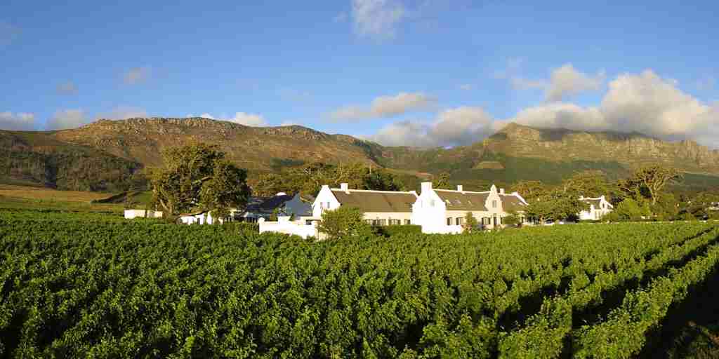 steenberg hotel, cape town, south africa safaris