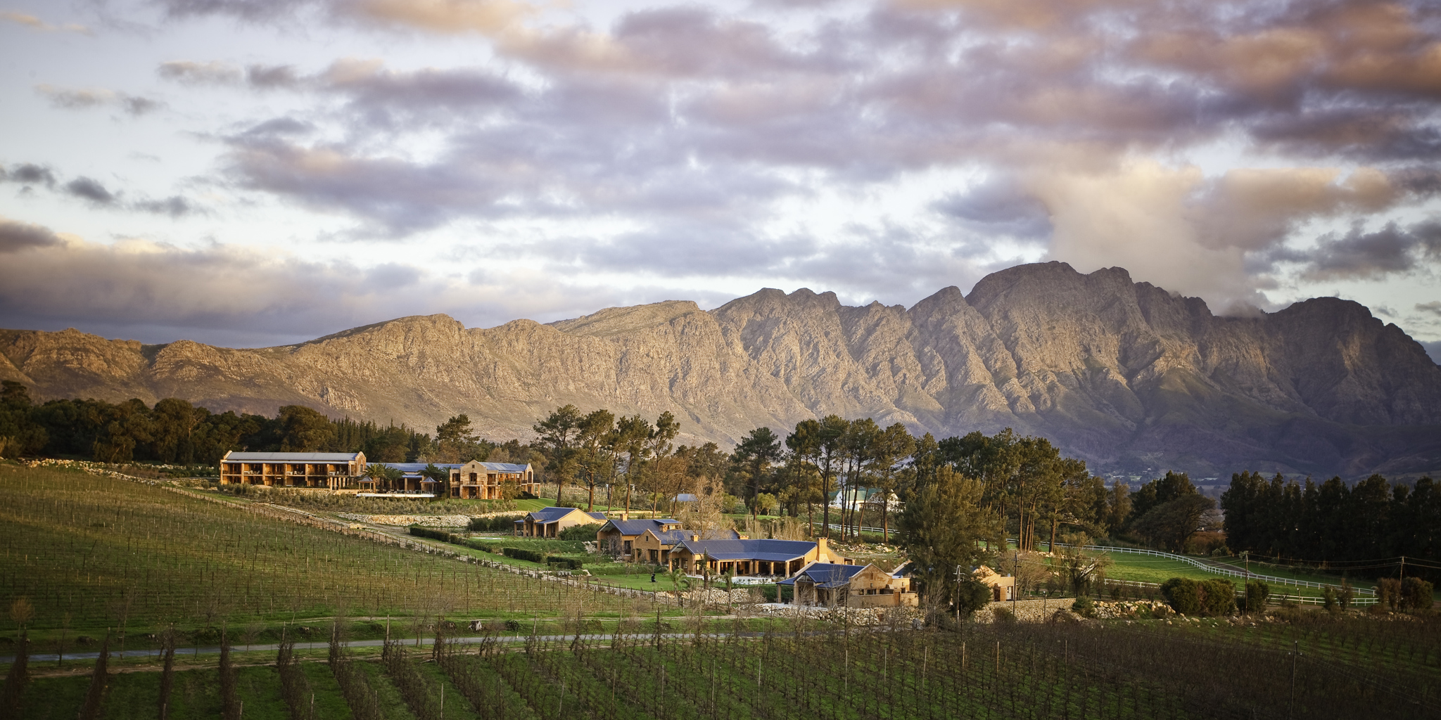 la residence estate, winelands, south africa safaris
