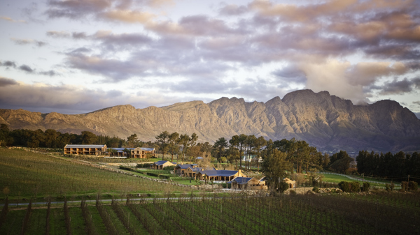 la residence estate, winelands, south africa safaris
