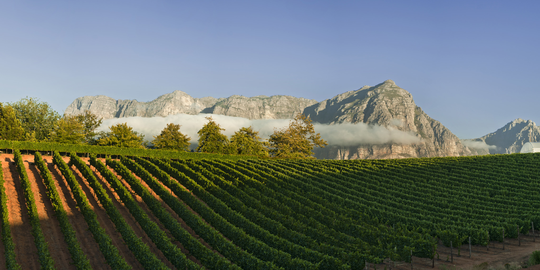 vineyard tours, winelands, south africa safari holidays