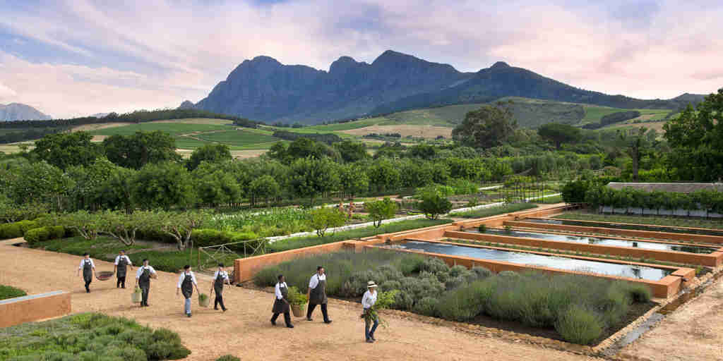 chefs in the winelands, south africa safaris