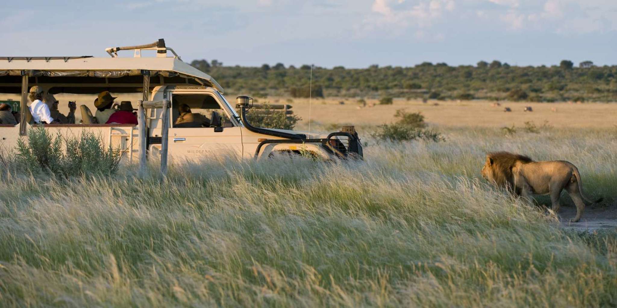 Family-Friendly Botswana Tours: Safari Holidays for UK Travellers - Planning a Botswana Safari Holiday from the UK