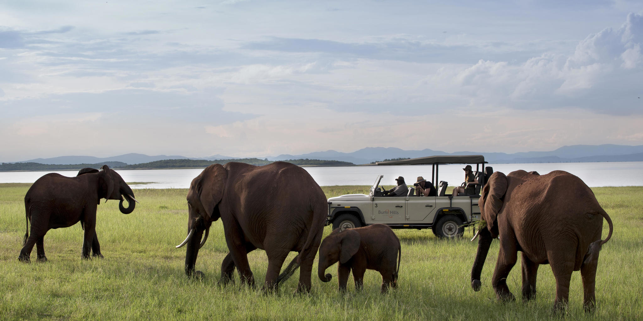 Game Drive, Bumi Hills, Lake Kariba, Zimbabwe