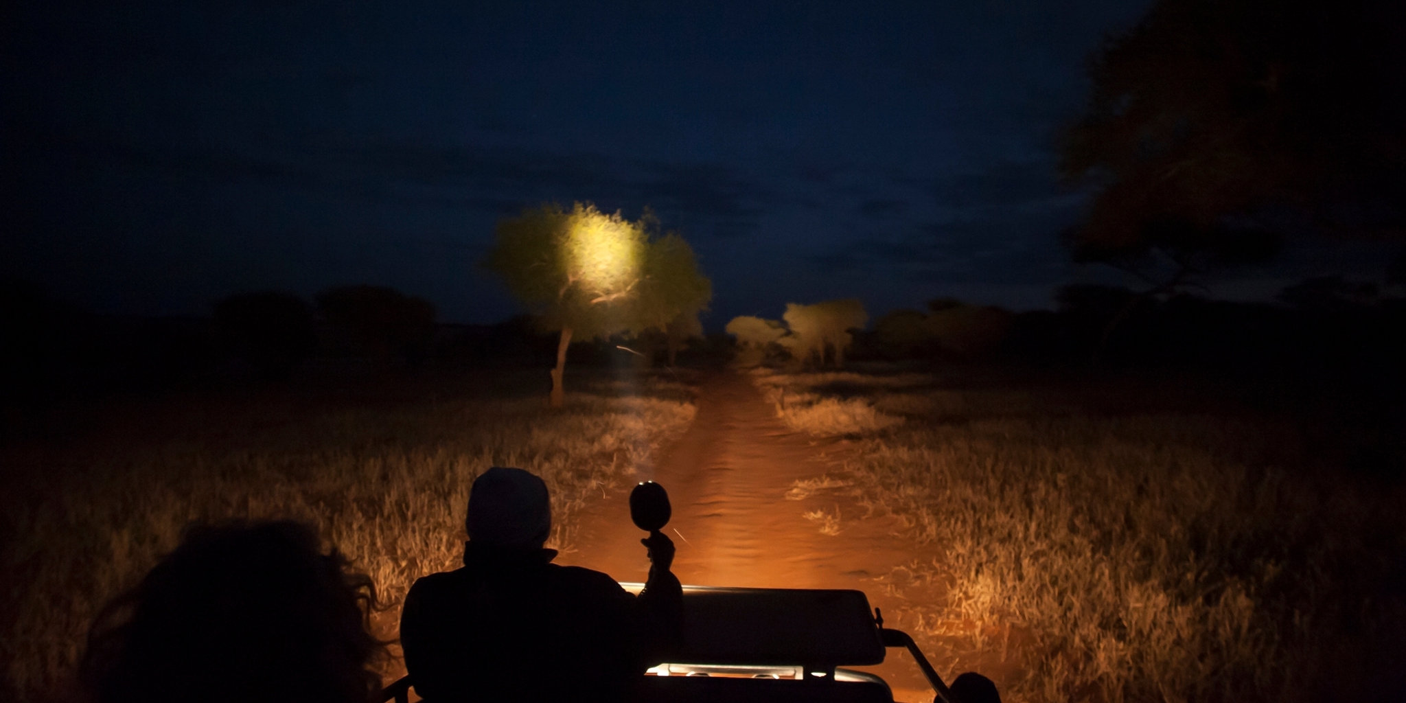 Night Drive, Kuro Tarangire, Tarangire, Tanzania