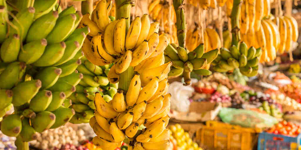 bananas, fruit stall, nairobi, kenya safari vacations