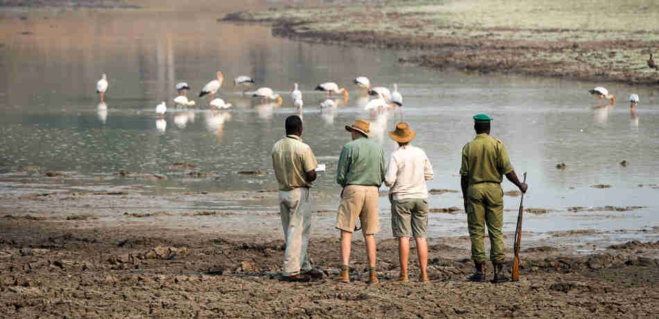 walking safaris in south luangwa national park, zambia