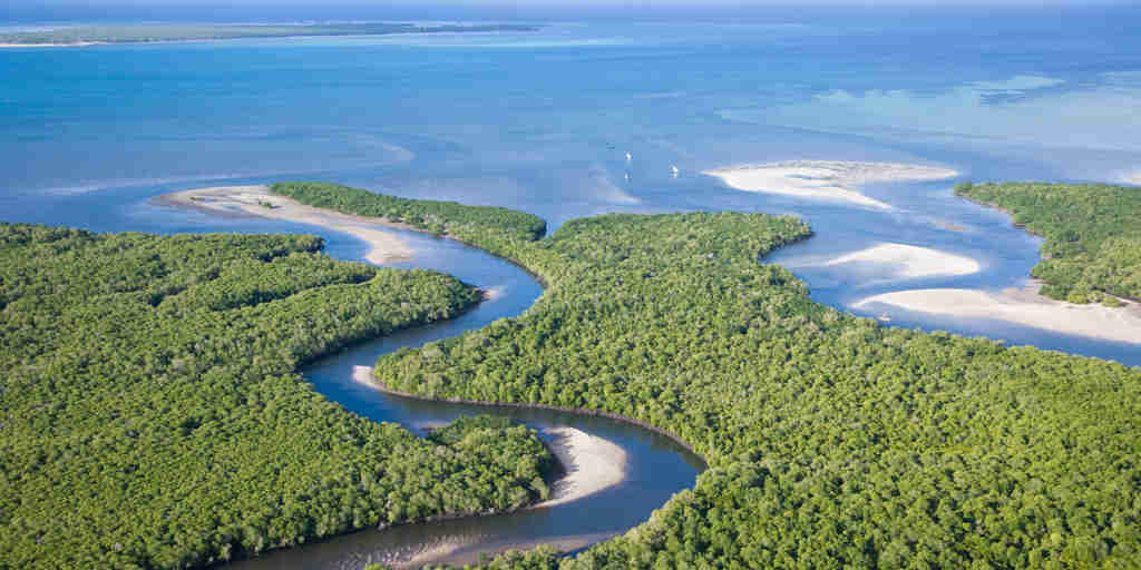 mangrove canals, quirimbas beach, mozambique safaris